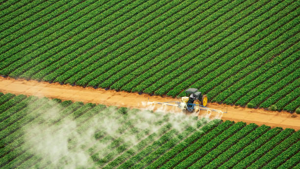 Best Termite Control Services  in Garrettsville, OH