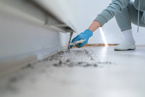 Best Insect Control  in Garrettsville, OH