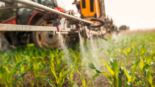 Best Local Pest Control Services  in Garrettsville, OH